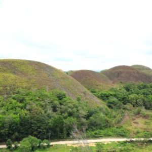Bohol
