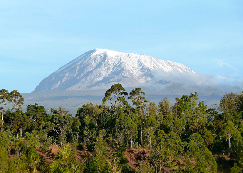 Ascension du Kilimandjaro, voie Machame