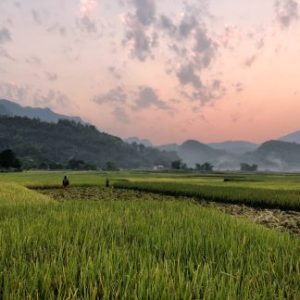 Ninh Binh