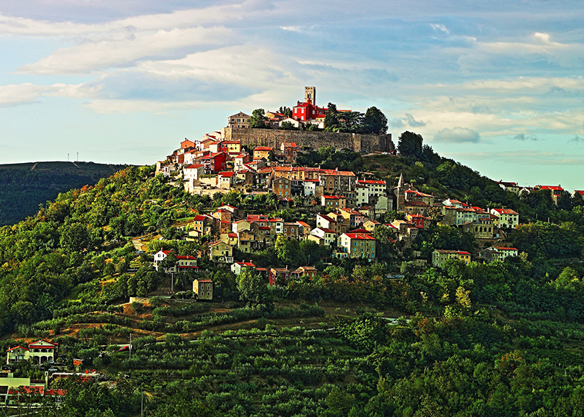 Au coeur des vignobles de Dalmatie