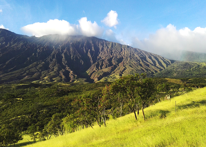 Paysage de volcan sur l'ile de Maui, voage à Hawaï avec Nirvatravel