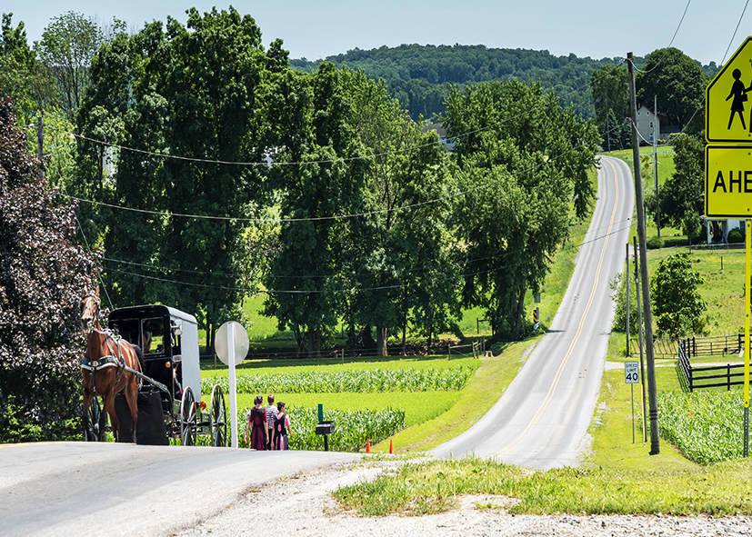 Découverte de la ruralité chez les Amish à Lancaster