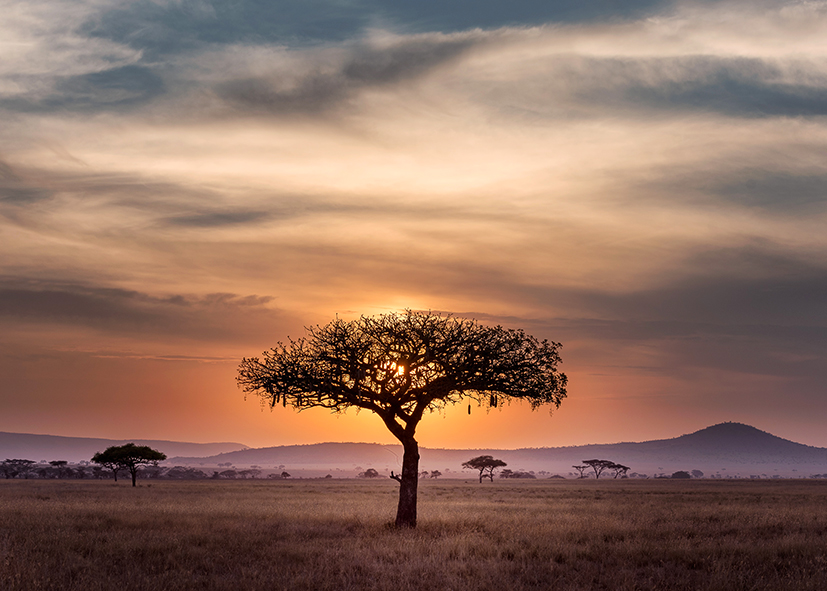 Coucher de soleil sur la réserve de Selous, safari en Tanzanie avec Nirvatravel