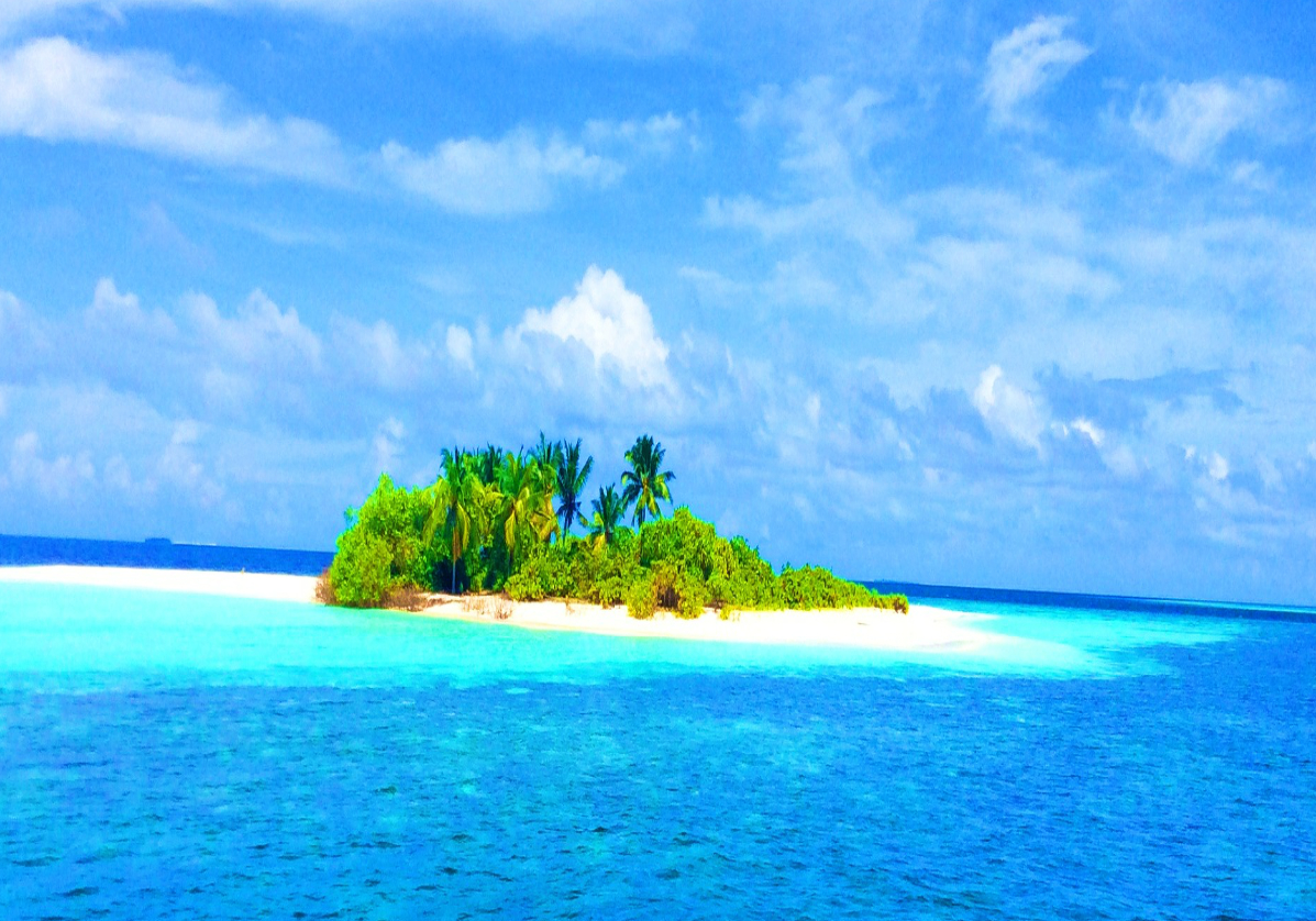 Plongée aux Maldives