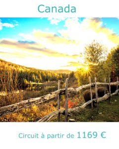 Paysages d'automne d'une forêt canadienne, partir au Canada en octobre avec Nirvatravel