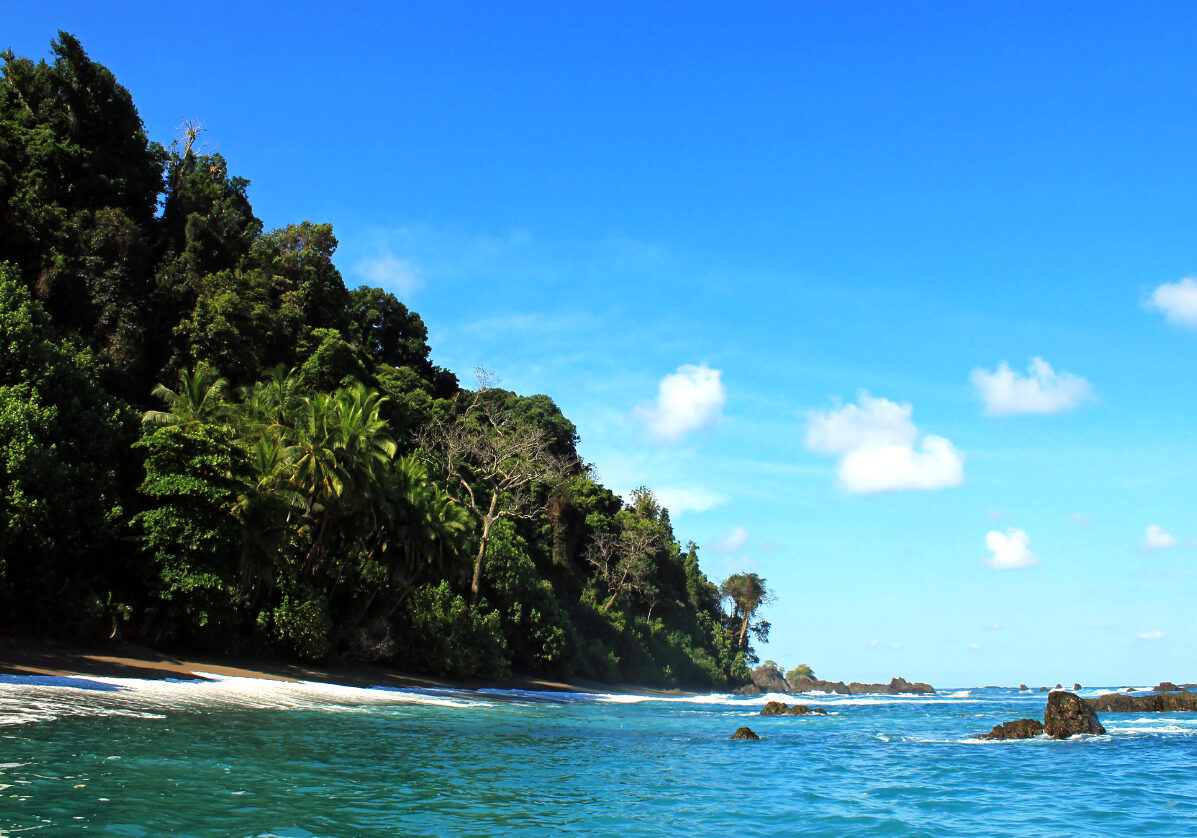 Journée libre pour découvrir Isla del Cano