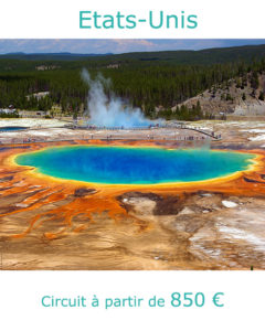 Parc de Yellowstone, partir aux Etats-Unis au mois de juin avec Nirvatravel