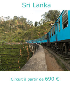 Train de Nuwara Eliya à Ceylan, partir au Sri Lanka en novembre avec Nirvatravel