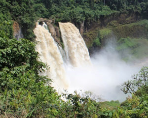 Chutes d'Ekom Nkam