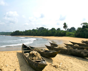 Kribi