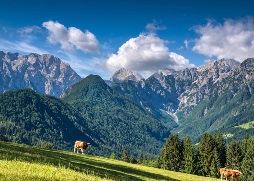 Découverte des paysages alpins slovènes