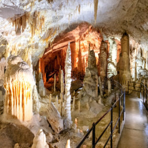 Stalagmites dans les grottes de Postojna, séjour en Slovénie avec Nirvatravel