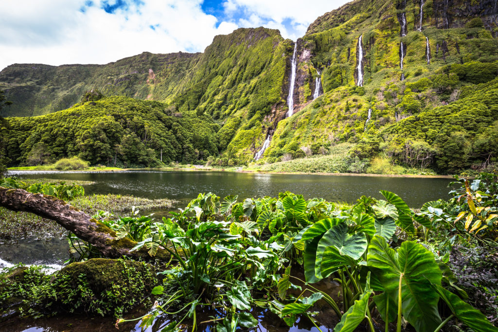 Cascade de Poço do Ribeira do Ferreiro sur l'ile de Flores aux Acores