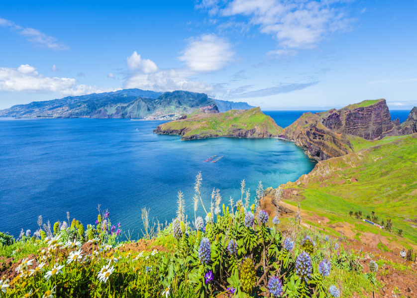 L'ile aux fleurs et Porto Santo