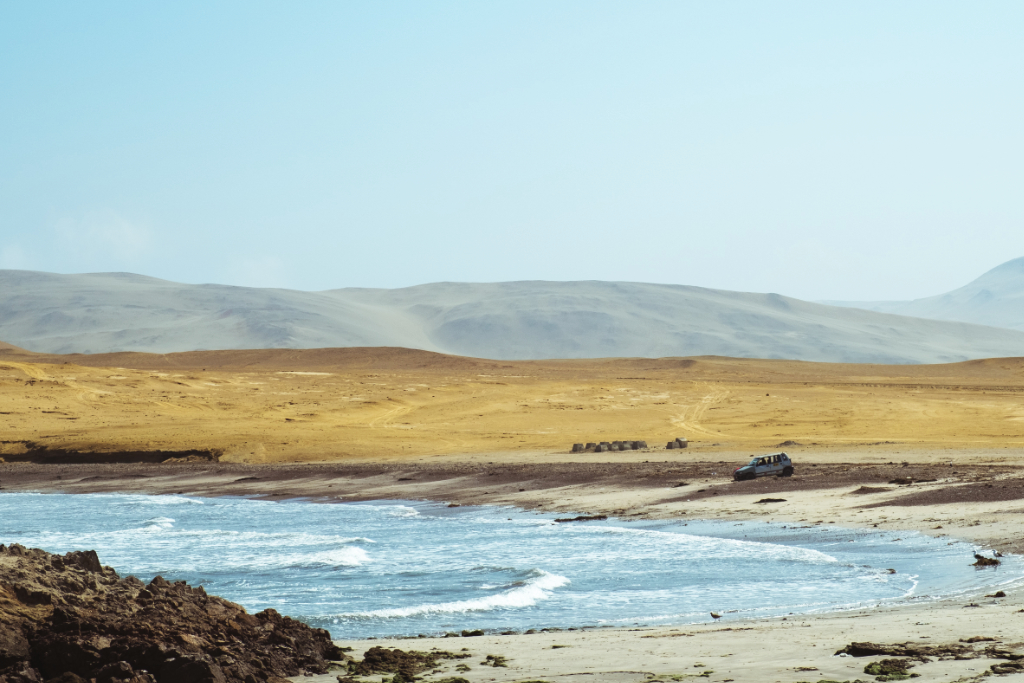 Réserve naturelle de Paracas, que voir au Pérou sur la côte Pacifique