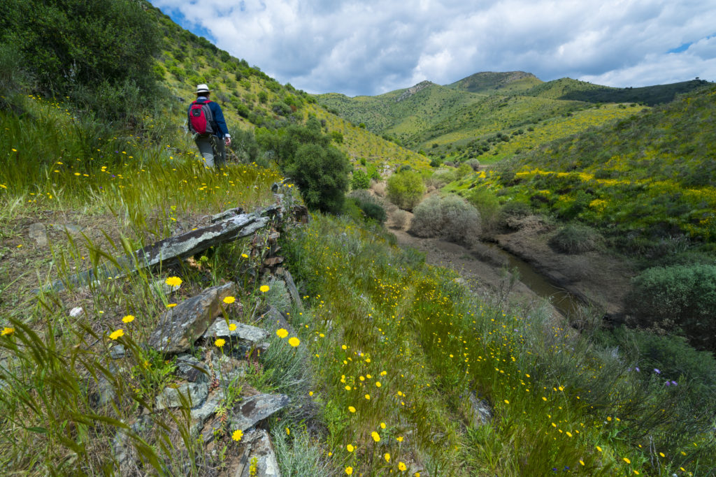 Ribeira de Piscos dans la vallée de Côa, quelle randonnée faire au Portugal 