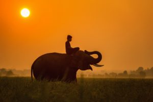 Mondulkiri