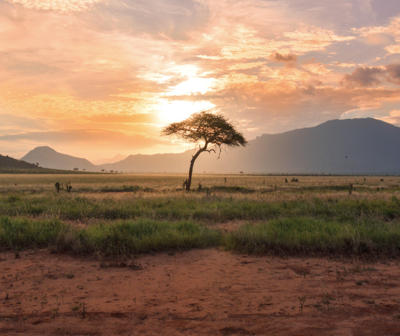 Coucher de soleil dans le parc national d'Amboseli au Kenya, Nirvatravel