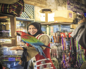 Souq Waqif
