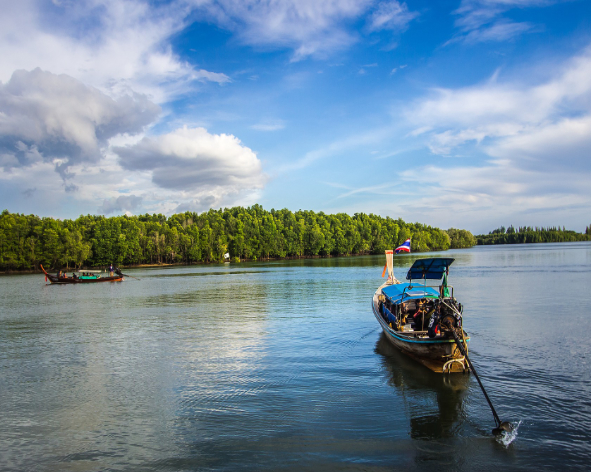Excursion nature en bateau dans la baie d'Halong Thaï