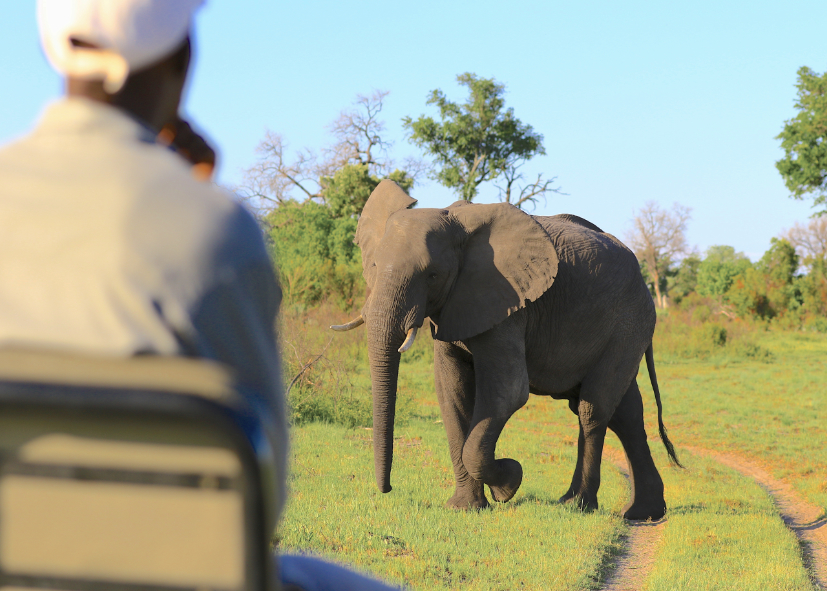 Aventure de l'Okavango aux chutes Victoria