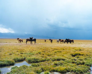 Le lac Song koul