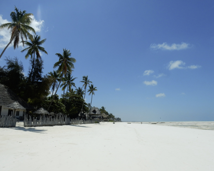 Zanzibar, plages de rêves