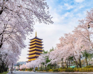 Gyeongju 