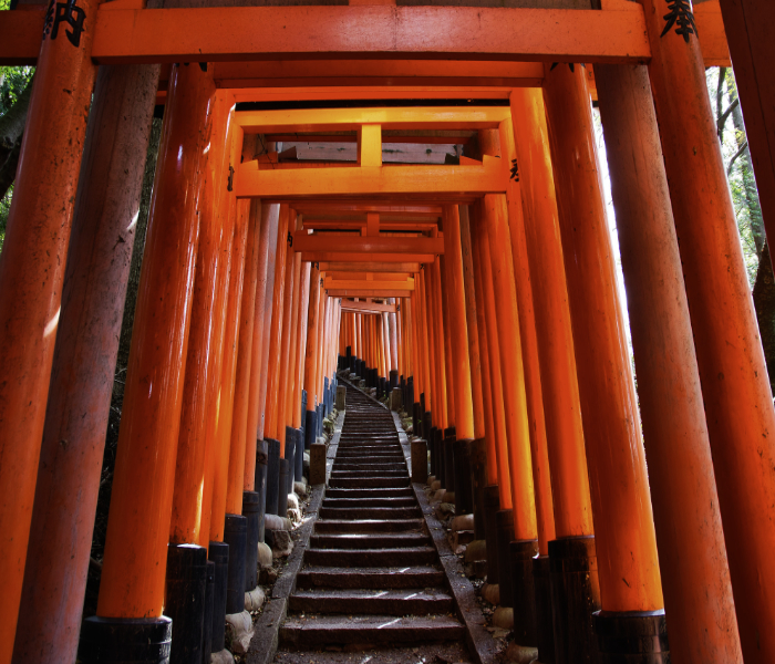 Torri du sanctuaire de Fushimi-Inari-taisha à Kyoto, circuit Japon Niavatravel
