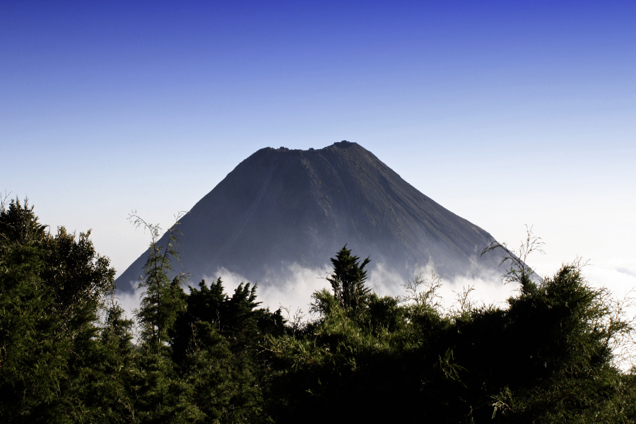 Salvador : immersion authentique