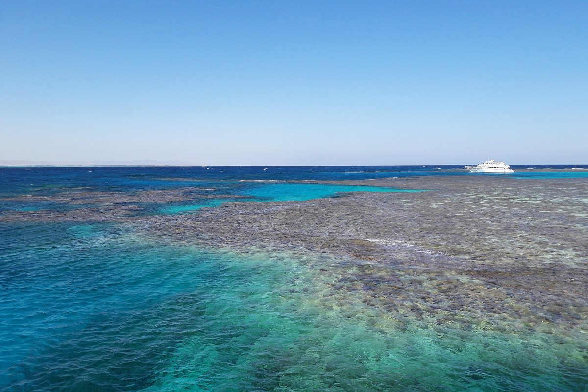 Récifs coralliens et bateau de plongée en mer Rouge, Égypte - Nirvatravel