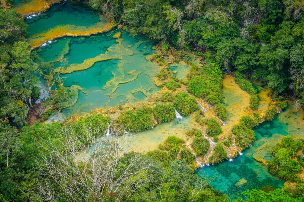 Parc naturel Ixpanpajul, immersion dans la canopée