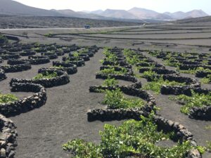 La Geria, Lanzarote