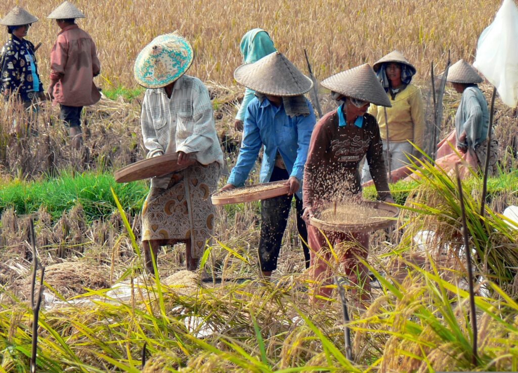 Ubud, une journée au village