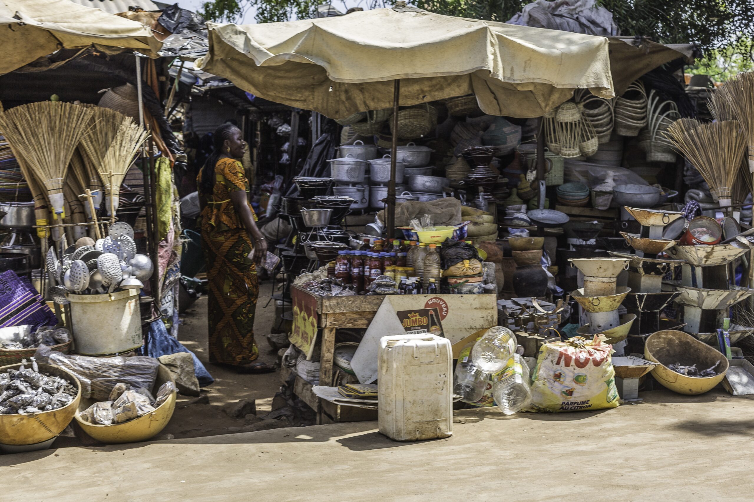 Dakar, entre marchés, culture et lutte sénégalaise - Nirvatravel