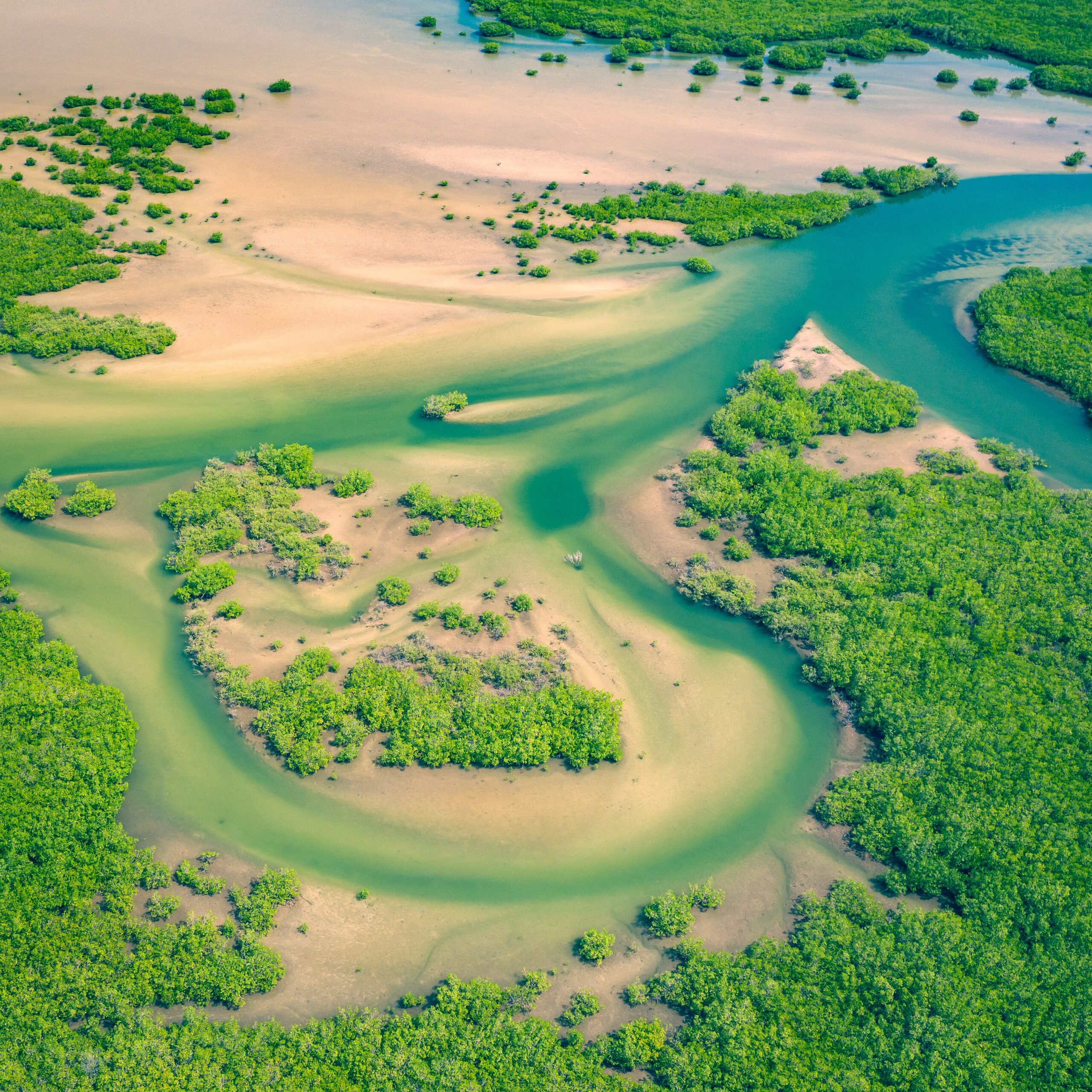 Delta du Sine-Saloum, en pirogue à travers la mangrove - Nirvatravel