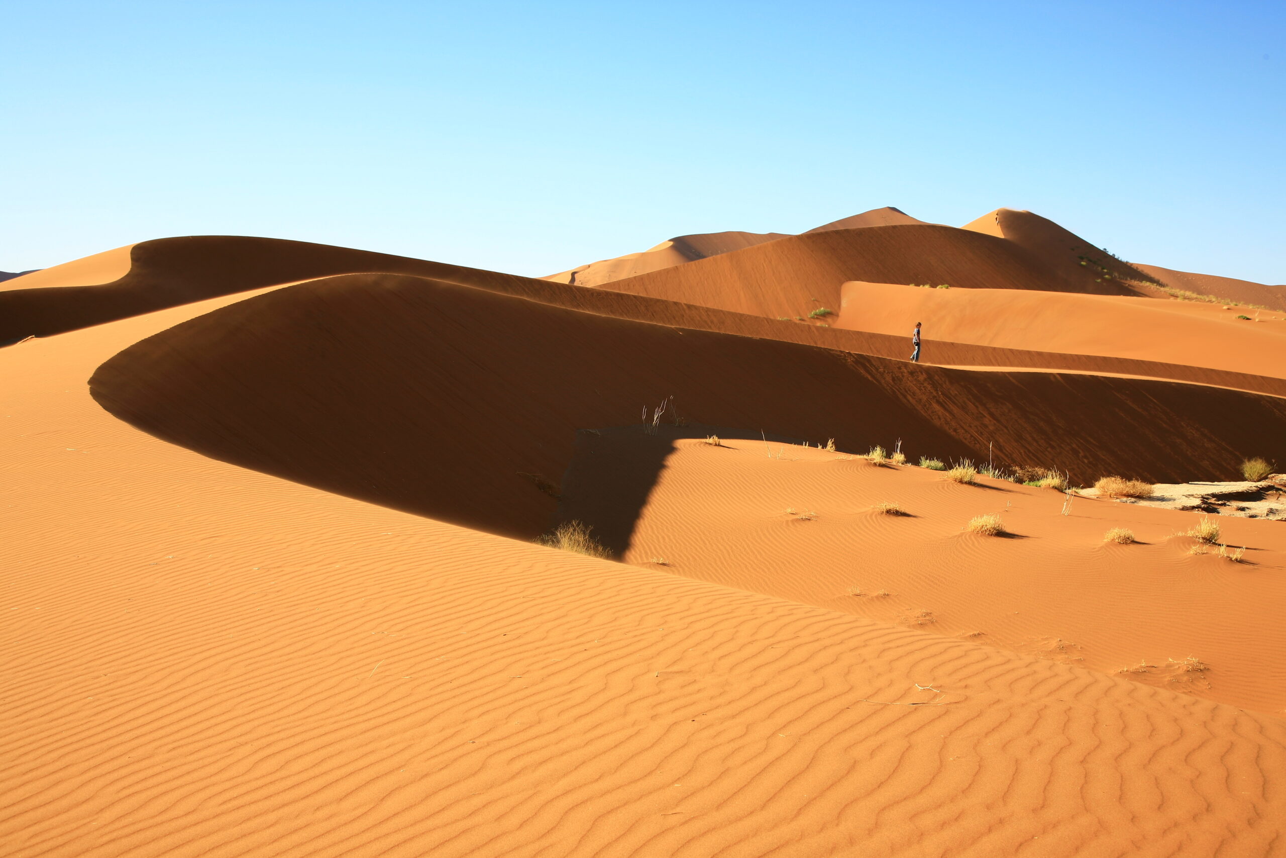 Dunes de Sossusvlei et Deadvlei dans le désert du Namib, Namibie - Nirvatravel