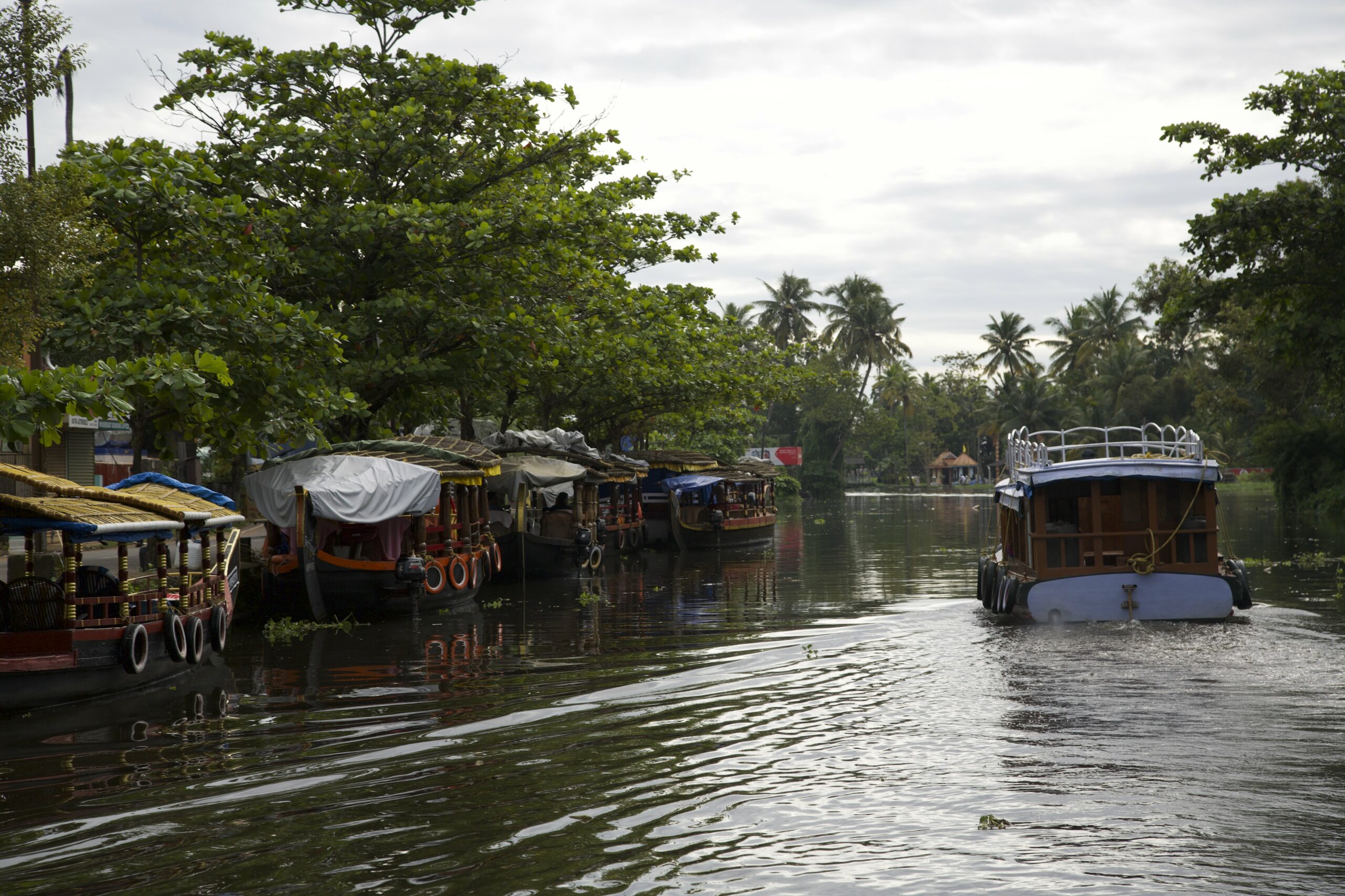 Le Kerala et les backwaters - Nirvatravel