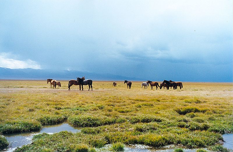 Le lac Song-Köl, joyau des Tian Shan - Nirvatravel