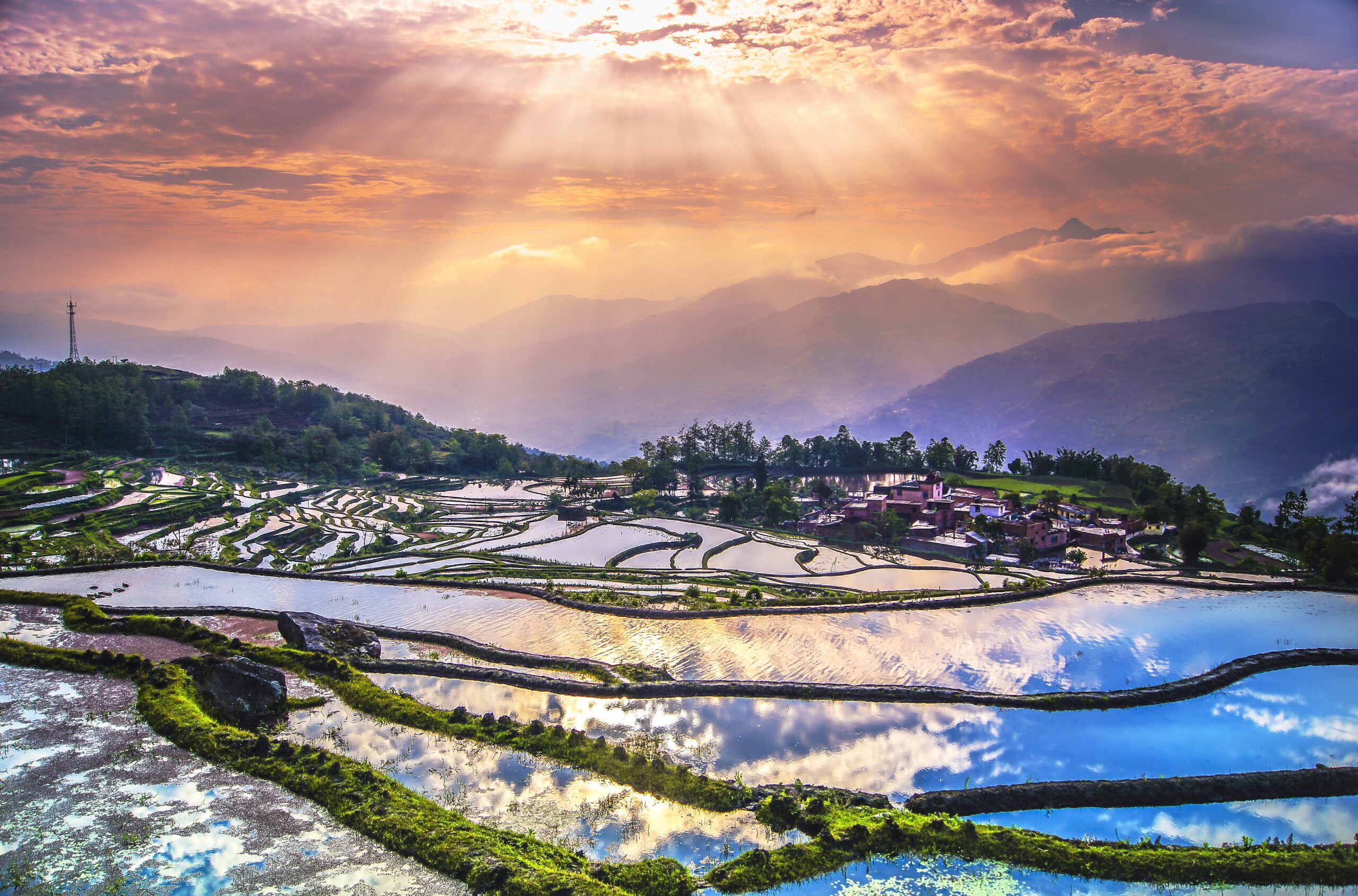 Le Yunnan et ses rizières en terrasses - Nirvatravel