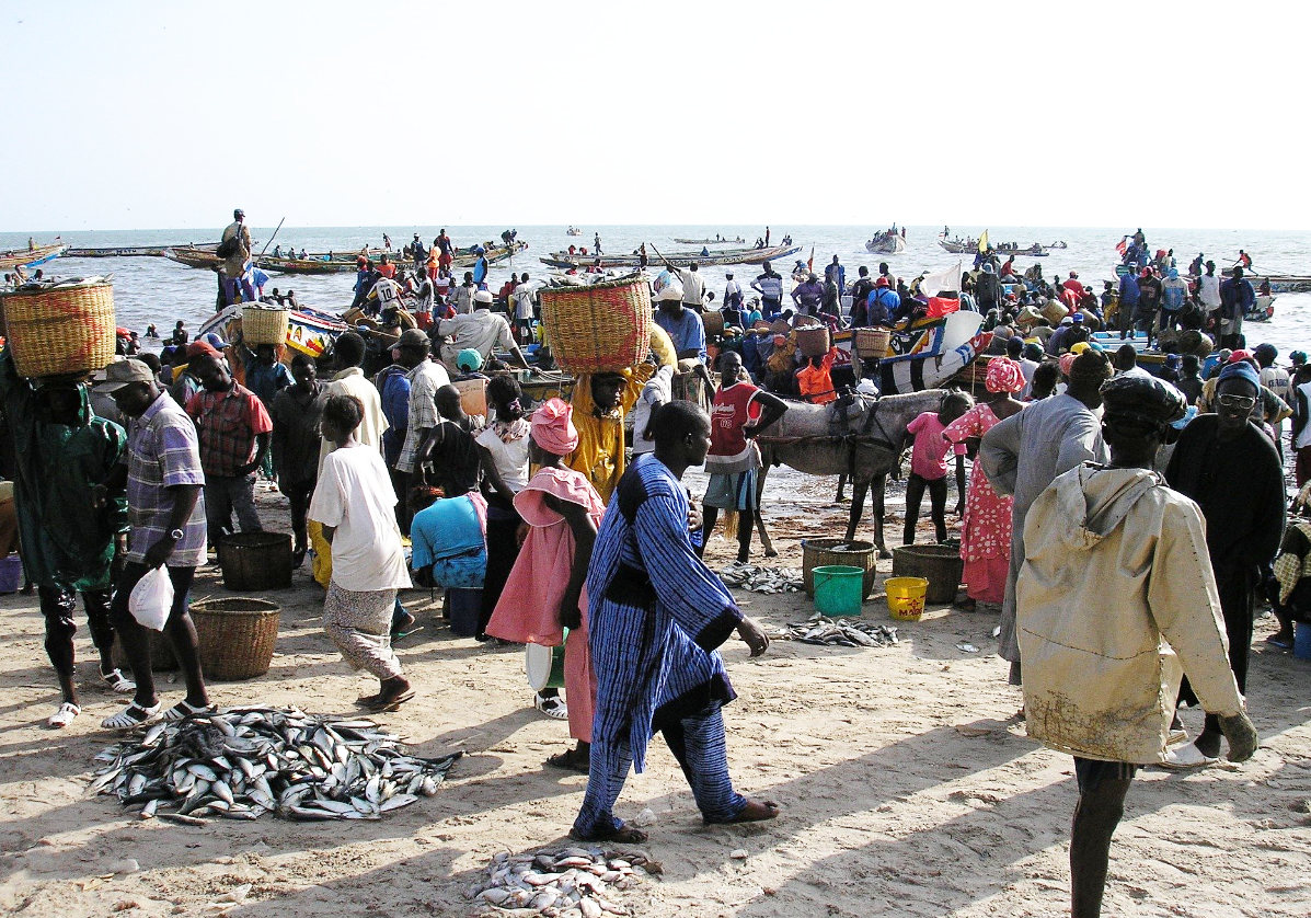 Mbour, le retour de la pêche sur la Petite Côte - Nirvatravel