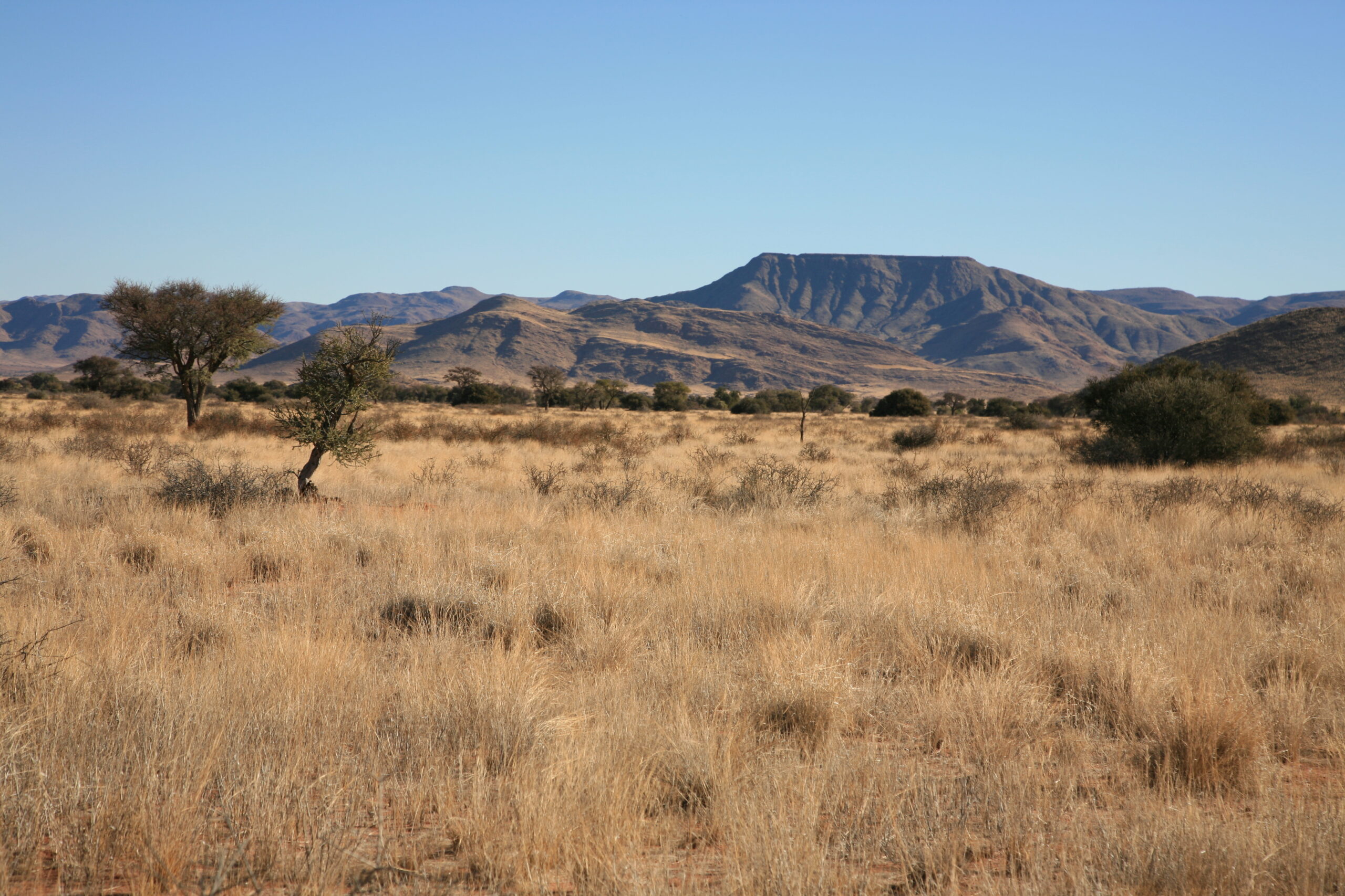 aysage du Damaraland et massif du Brandberg, Namibie - Nirvatravel