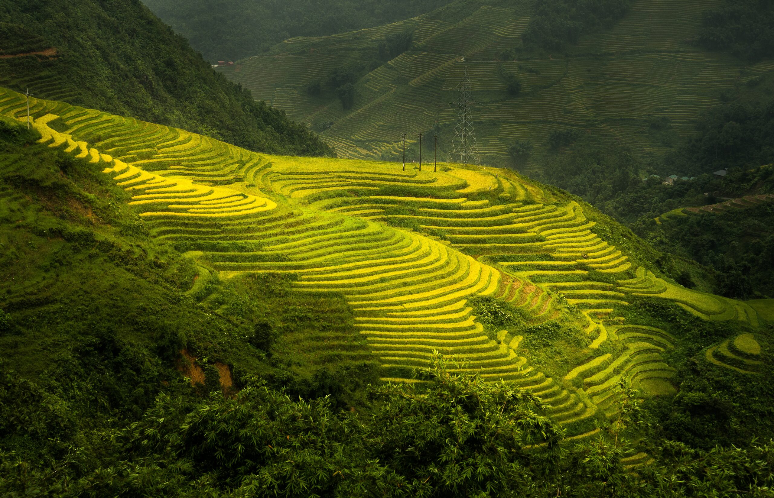 Sapa, terrain de jeu des randonneurs - Nirvatravel