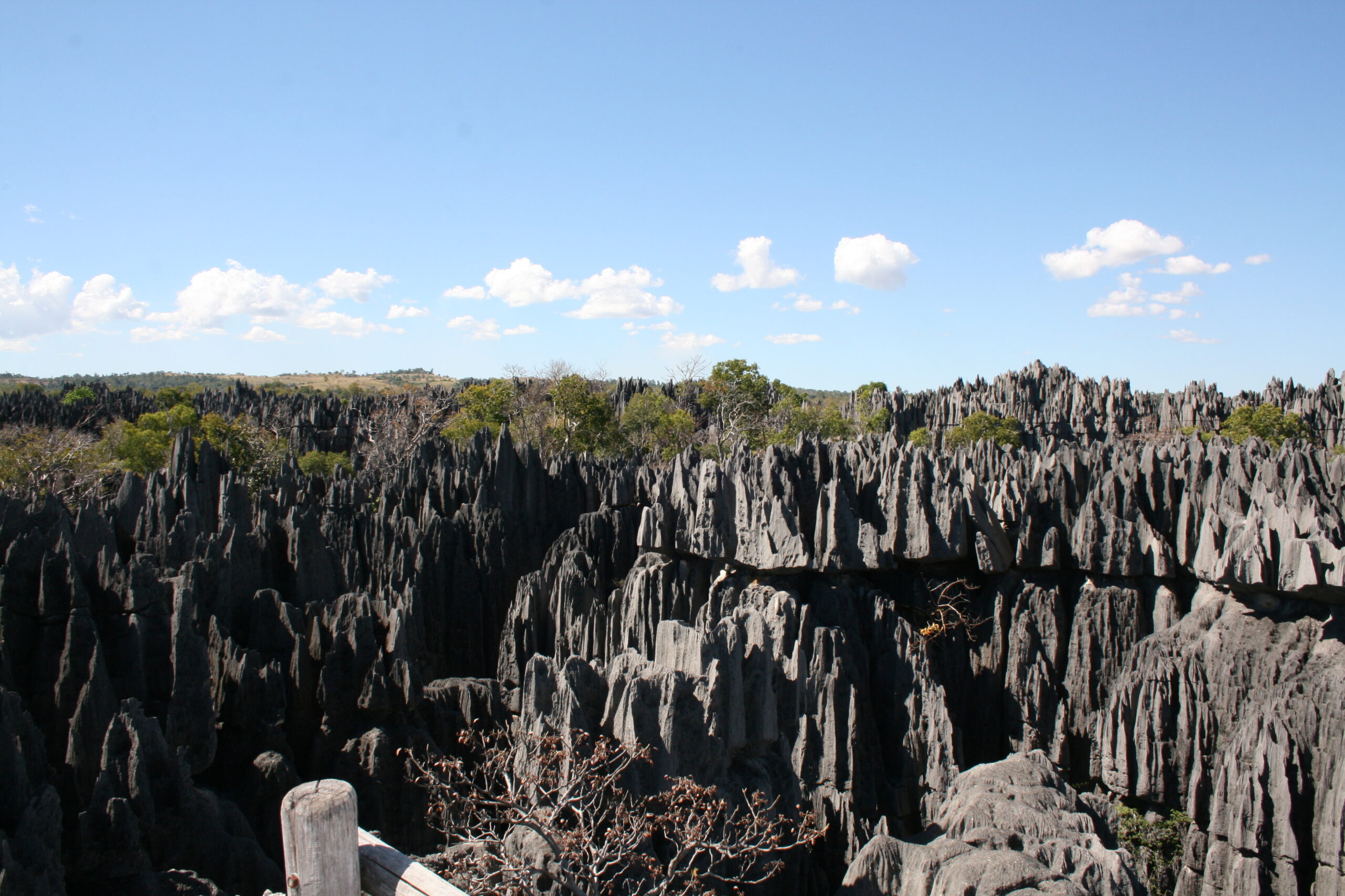 Tsingy de Bemaraha, un labyrinthe de pierre unique au monde - Nirvatravel