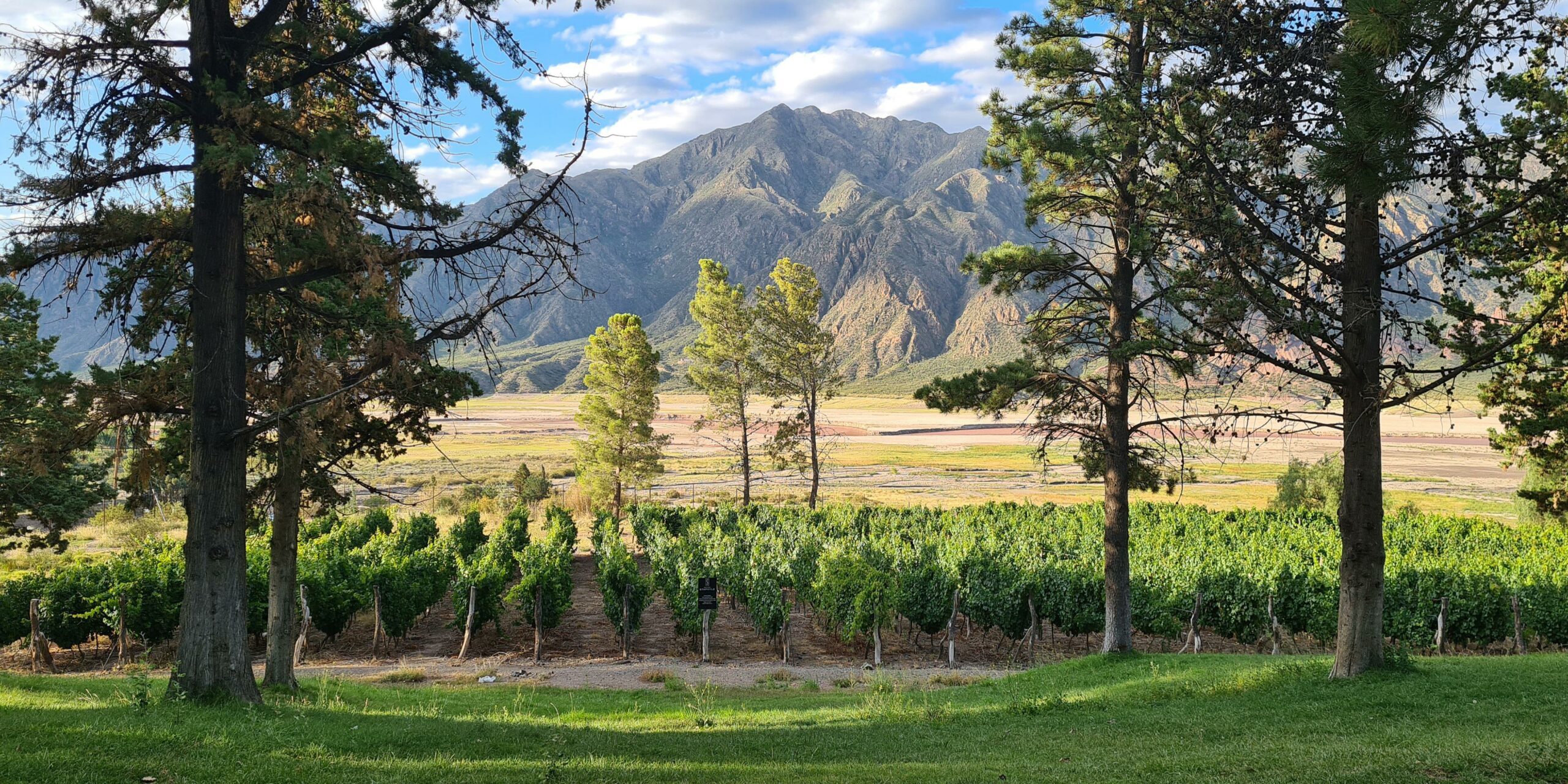 Vignobles de la vallée de Uco et cordillère des Andes, Mendoza, Argentine - Nirvatravel